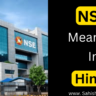 NSE Meaning In Hindi|NSE Full Form In Hindi